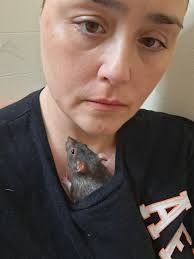 Loss of Pet Ferret Sophia