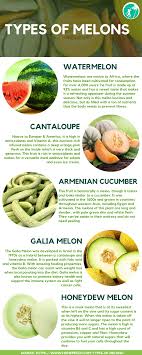 Types Of Melons In 2020 Summer Fruit Fruit Natural Sugar
