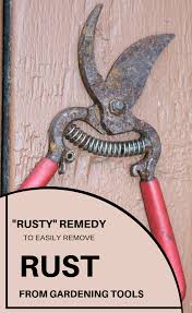 Check spelling or type a new query. Rusty Remedy To Easily Remove Rust From Gardening Tools Xcleaning Net Your Cleaning Tips How To Remove Rust Garden Tools Cleaning Hacks