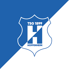 The tsg 1899 hoffenheim logo colors with hex & rgb codes has 2 colors which are denim (#1c63b7) and white (#ffffff). Tsg 1899 Hoffenheim