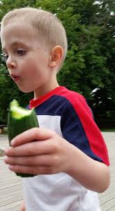 Editors, do something with my cucumber