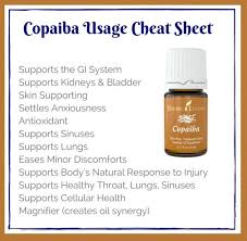 Copaiba Uses Living Essentials Oils Copaiba Essential Oil Essential Oils Health