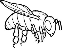 Bee Coloring Pages Flying Bee Coloring Pages Bee Pictures Art Bee Drawing