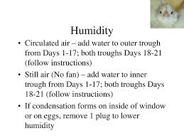 This would also cover the rcom curadle pet brooder 60 mo. Incubation And Embryology Ppt Download
