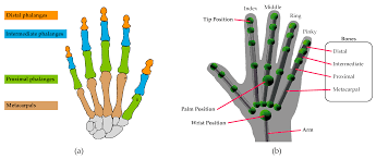 María josé simian is on facebook. Sensors Free Full Text Perspective And Evolution Of Gesture Recognition For Sign Language A Review