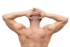 Molte persone pensano sia sufficiente mangiare di più e/o quintali di proteine per far crescere i muscoli automaticamente. Alimenti Ricchi Di Proteine Quali Sono Muscoli Tabella E Dieta Proteica