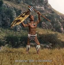 Image result for Zulustylis