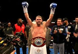 Demetrius andrade gives his prediction for canelo vs. With No Fight Against Canelo Alvarez Who Is Billy Joe Saunders Looking To Face Now Fight Sports