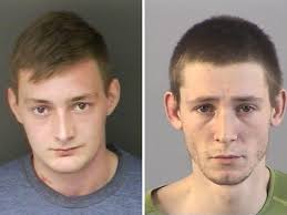 Cousins jailed for killing pal with 'idiotic' driving as L-plate driver  crashed at 100mph after downing seven pints