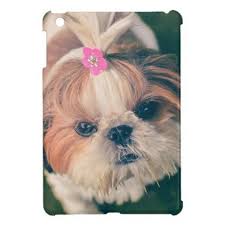 Lovely Foxy Dog Puppy Cover For The Ipad Mini Dog Puppy Dogs Doggy Pup Hound Love Pet Best Friend Dog Training Obedience Training Your Dog Dog Training Tips