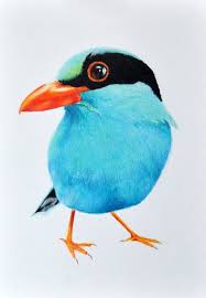 Drawing a picture needs a lot of detailed observation, otherwise it is very tough to go through the full detailed drawing may be it is a pencil sketch or a color drawing. Coloured Pencil Drawings Of Birds Pencildrawing2019