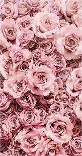 Simple And Aesthetic Pretty Pink Rose Foam Crown Phone Wall Decor Z Hd Tumblr Wallpaper In 2020 Blumen Hintergrund Iphone Telefon Hintergrundbilder Rosen Tapete