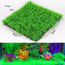 Check spelling or type a new query. Rumput Sintetis Aquarium Model Halus Lazada Indonesia