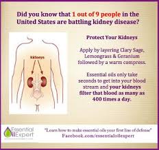 Keeping It Real Oily Essential Oils Kidney Essential Oils Kidney Stones Essential Oils Herbs