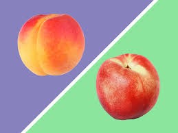 If you are trying to achieve a specific distribution of calories, such as the 40/30/30 distribution of the zone™ diet, or the more traditional 60/30/10 distribution, the caloric ratio pyramid™ will show you how recipes, meal plans, or individual. The Difference Between Peaches And Nectarines Chatelaine