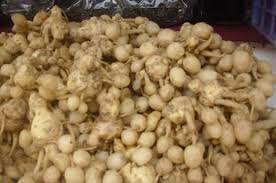 Mie means noodle made of flour, salt and egg, while soto refers to indonesian soup. Meredam Kanker Dengan Kunyit Putih Semua Halaman Intisari