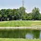 Springfield City Amateur Championship