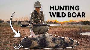 On large tracts of land, free range hunting can be very good. Hog Hunting In Texas Free Range Wild Pigs Youtube