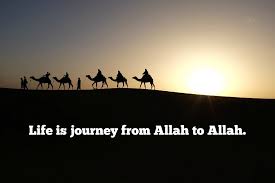 Complaining against others in this world is meaningless according to the quran: Inspirational Islamic Quotes And Messages About Life Webtrickle