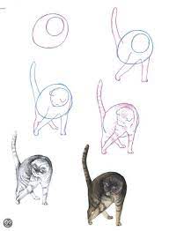 Kat schattige dieren tekenen makkelijk. 39 Ideeen Over Poesjes Tekenen Dieren Tekenen Katten Tekening Tekenen