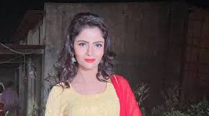 Serial actress rate per night newlinefl : Actor Gehana Vasisth Latest To Be Arrested For Role In Porn Movie Racket Entertainment News The Indian Express