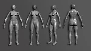 Zbrush Anatomy Complete Guide To Creating Realistic Anatomy In Zbrush From there, we will move down and study the torso anatomy, arm anatomy, and the legs. zbrush anatomy complete guide to