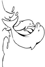 Cartoon baby animals coloring pages. 13 Best Dolphin Coloring Pages Ideas Dolphin Coloring Pages Coloring Pages Dolphins