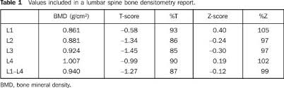 analysis of the new classification of bone densitometry reports