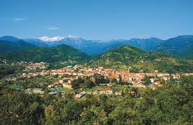 Village du Vallespir - Office de Tourisme Arles sur Tech, Corsavy, Montferer