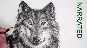 How To Draw A Realistic Wolf Narrated Youtube We draw people very often, and we always start drawing them with a skeleton. how to draw a realistic wolf narrated
