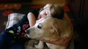 Bereavement resources to help you and your family cope during this distressful time. Private Pet Euthanasia Pet Loss At Home