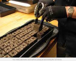 How To Build A Root Cellar In 7 Steps Walden Labs Seed Starting Seeds Garden Ideas Diy Cheap