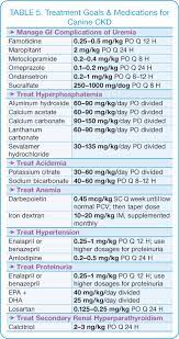 Canine Chronic Kidney Disease Diagnostics Goals For Long Term Management