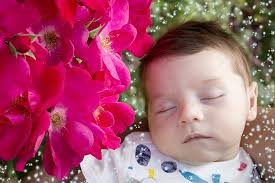 Fondo Bebé Dormido Rodeado De Flores Rosas Descansando Familia Caucásica  Foto E Imagen Para Descarga Gratuita