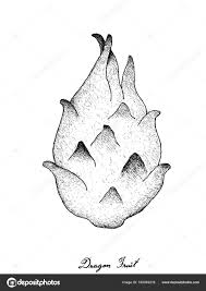Simple Dragon Fruit Drawing Anime, chibi dear god it's so cute. drawer pro blogger