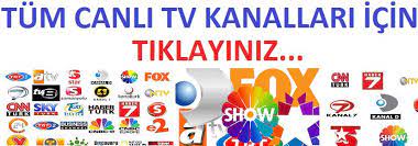 Türkiye'nin canlı hd tv izleme sitesi. Canli Tv Kanallari Izle Icin 11 Fikir Tv Izleme Kanal