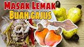 Satu lagi salah satu manfaat kesihatan yang penting kacang gajus adalah bahawa gajus boleh meningkatkan kesihatan. Pokok Gajus Khasiat Terbaik Untuk Wanita Youtube