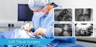 Jalan 1 50 kuala lumpur malaysia. Klinik Haiwan Healing Pets Sdn Bhd Veterinary Clinic Pet Surgery In Selangor Malaysia Kuala Lumpur Kl Petaling Jaya