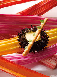 Découvrez toutes nos amuse bouche menu de noël gastronomique proposées par nos chefs, ainsi que les techniques associées en vidéo ! Amuse Bouches Thuries Magazine