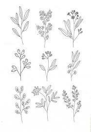 Flowers Drawing Simple Hand Drawn 24 Super Ideas Flower Drawing Flower Sketches Flower Pattern Drawing