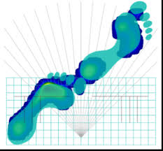 Image result for Balance Error Scoring System