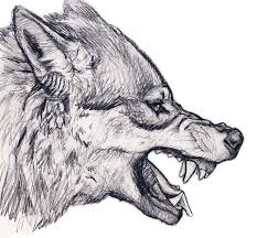 Gallery Snarl Wolf Croquis De Loup Tete De Loup Dessin Idees Esquisses