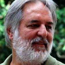 Walter Gonçalves Jr (@ecowalt)