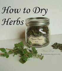 How To Dry Herbs Diane Long Drying Herbs Herbs Herbs Image