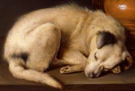 Gods And Foolish Grandeur Sleeping Dog By Gerrit Dou 1650 Sleeping Dogs Dogs Gerrit Dou