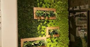 Mochten Sie Eine Mooswand In Ihrem Zuhause Oder Garten Haben Ummauerter Garten Mooswand Und Wanddeko Selbstgemacht