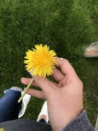 I Got A Pocket Got A Pocket Of Sunshine I Got A Pocket Got A Pocket Full Of Sunshine Pocket Full Of Sunshine Aesthetic
