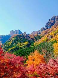 楽天トラベル 妙義山 たびノート 紅葉 風景 自然な写真 紅葉