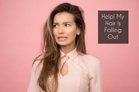 Beauty supply store in tampa on yp.com. Beauty Depot More Than Just Beauty A Beauty Supply Store