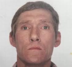 XL Bully dogs responsible for HALF of fatal attacks